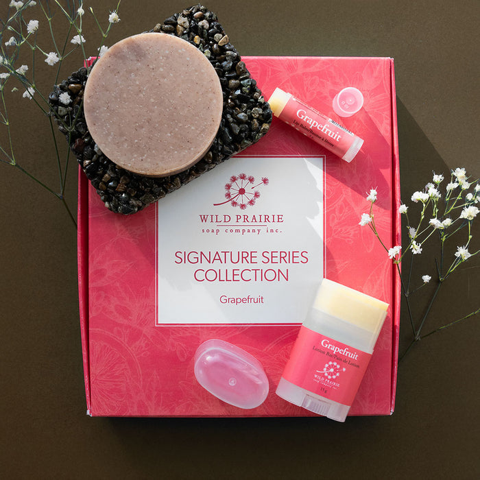 Signature Series Collection